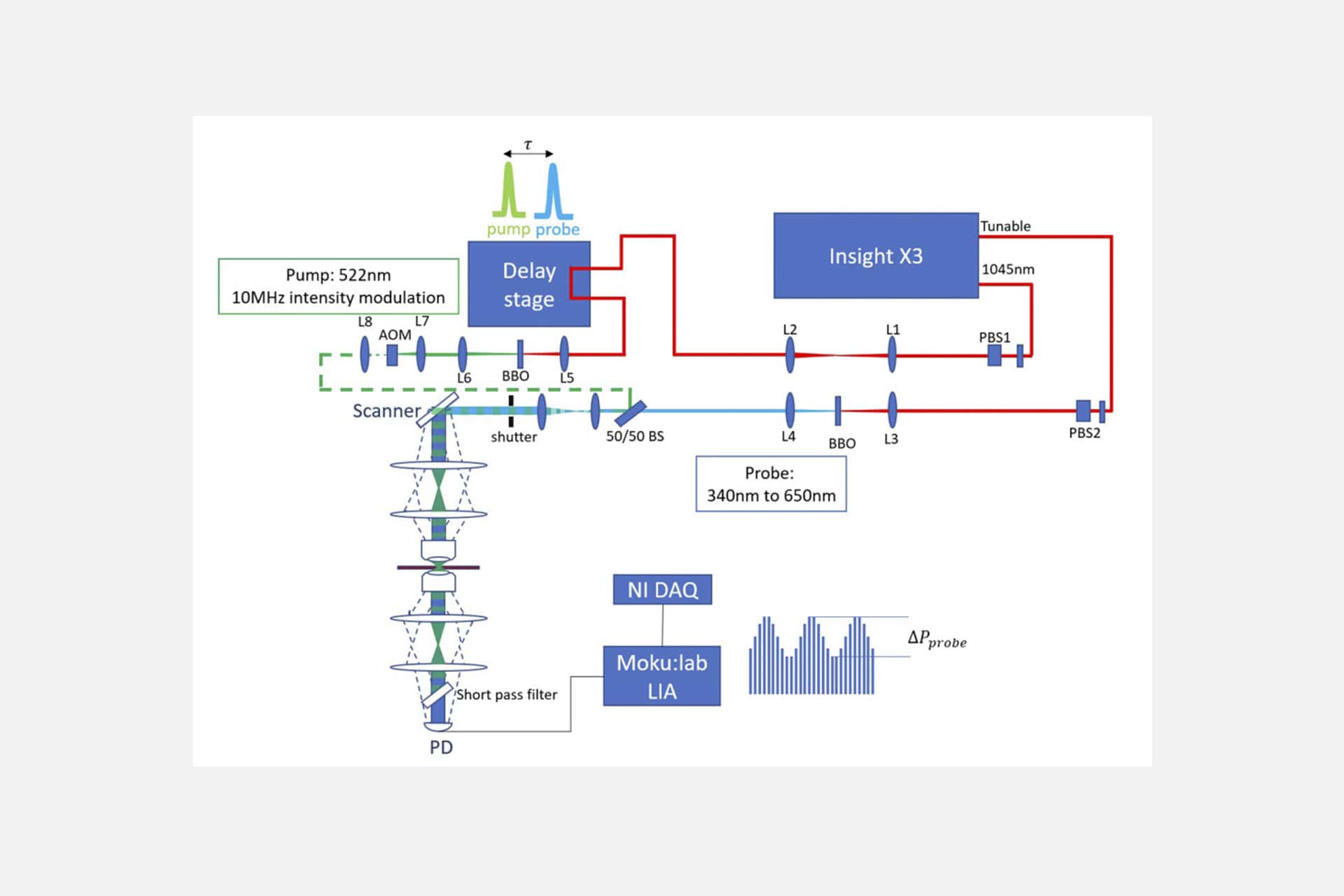 Transient Absorption Spectroscopy
